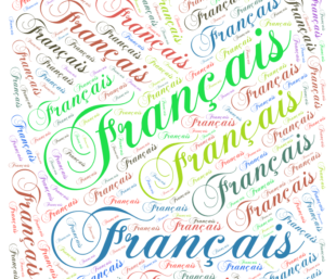 French Language Homework Help