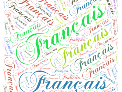 French Language Homework Help